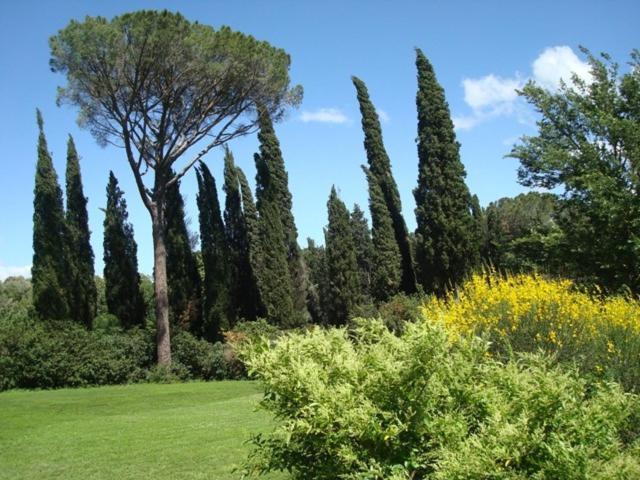 Al Giardino Degli Etruschi Guest House Chiusi Cameră foto