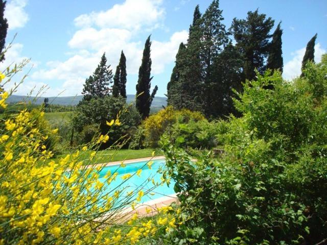 Al Giardino Degli Etruschi Guest House Chiusi Cameră foto